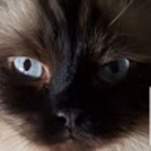 Meet your Posher, Lucy